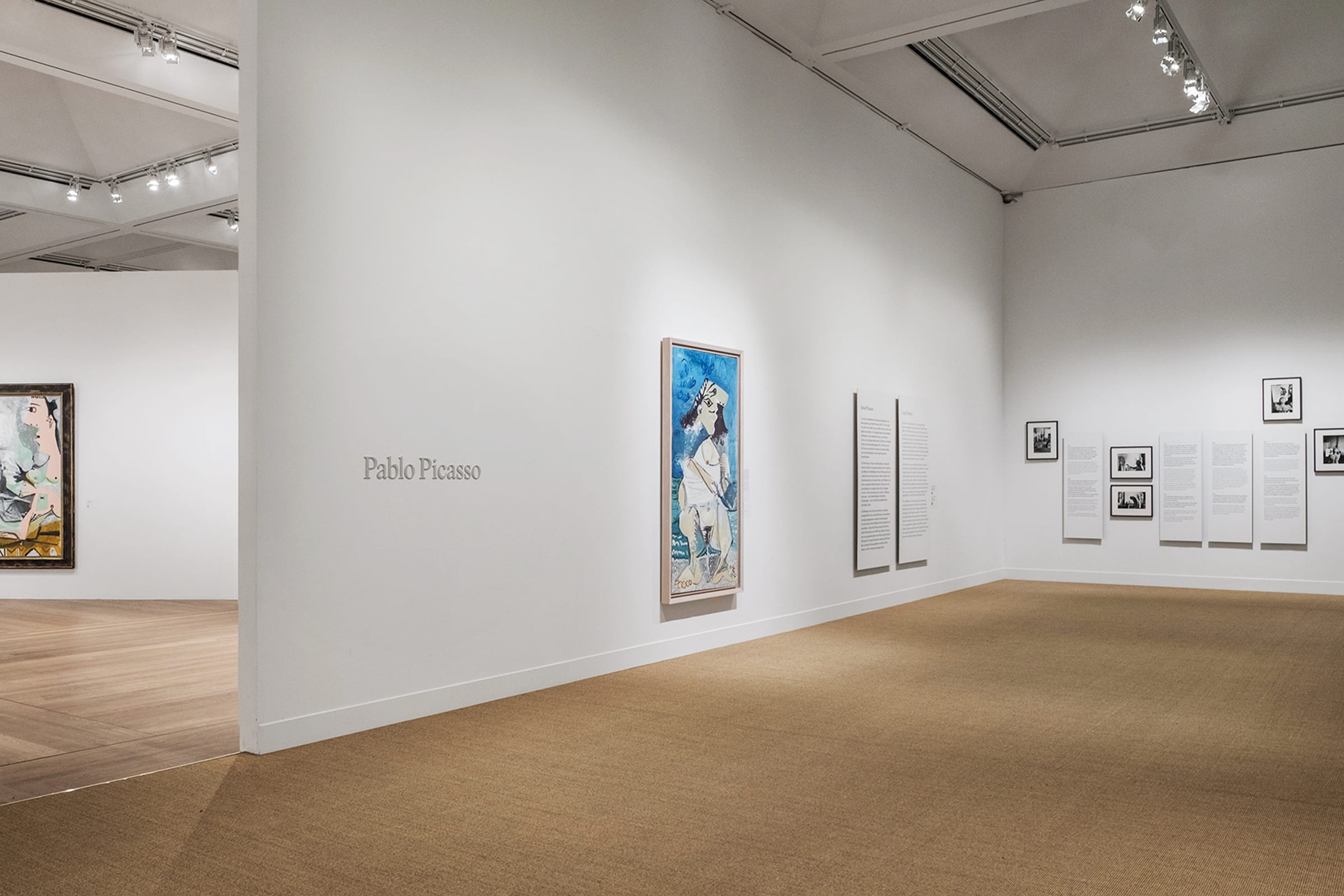 Late Picasso - Malmsten Hellberg